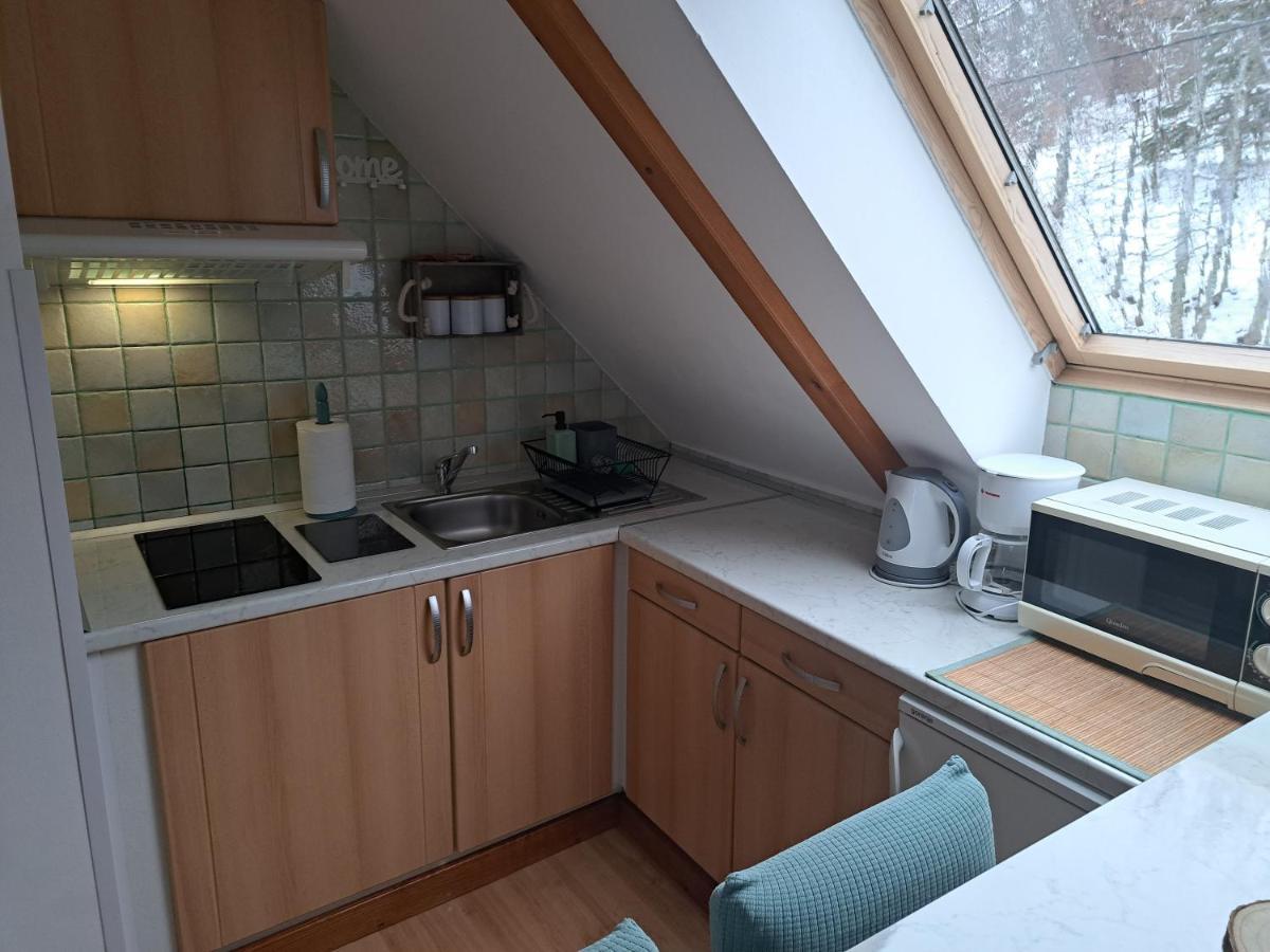 Apartment Erika Fuzine Bagian luar foto