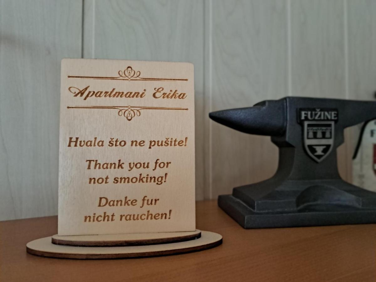 Apartment Erika Fuzine Bagian luar foto