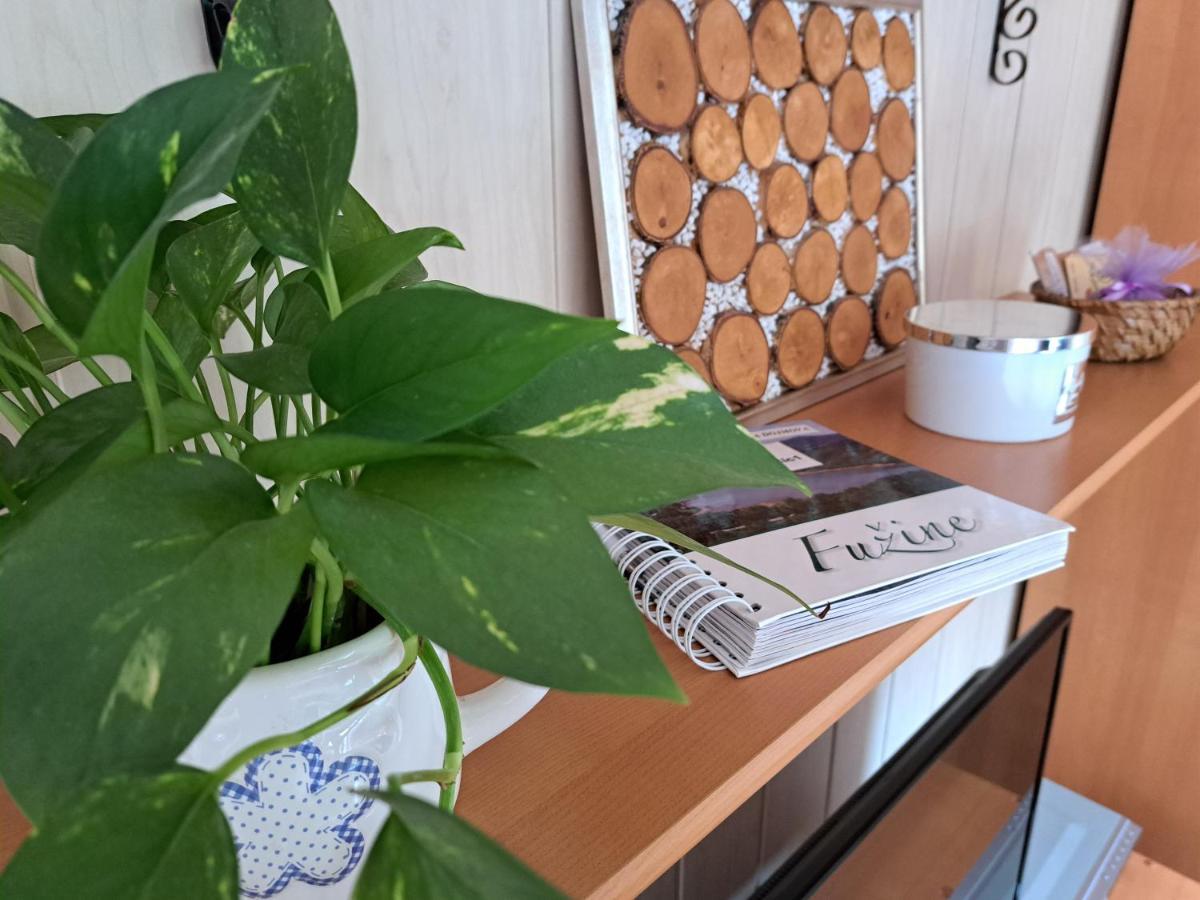 Apartment Erika Fuzine Bagian luar foto